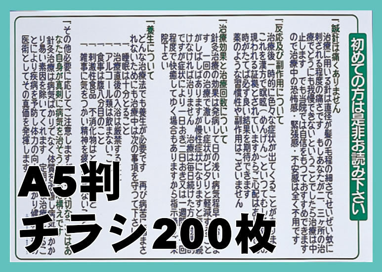 「初めての方は是非お読み下さい」 チラシ200枚 A5版 KP-101D